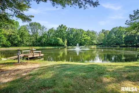 3189 Spaulding Orchard Rd, Springfield, IL 62711 photo 81