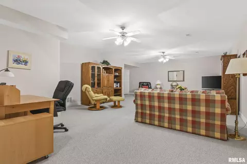 231 Sandstone Dr, Chatham, IL 62629 photo 30