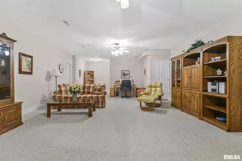 231 Sandstone Dr, Chatham, IL 62629 photo 31