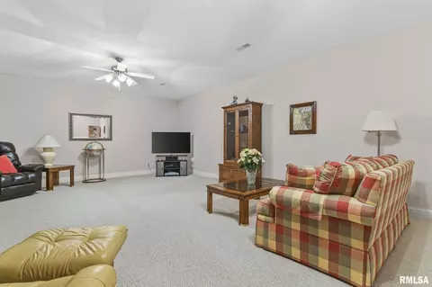 231 Sandstone Dr, Chatham, IL 62629 photo 29