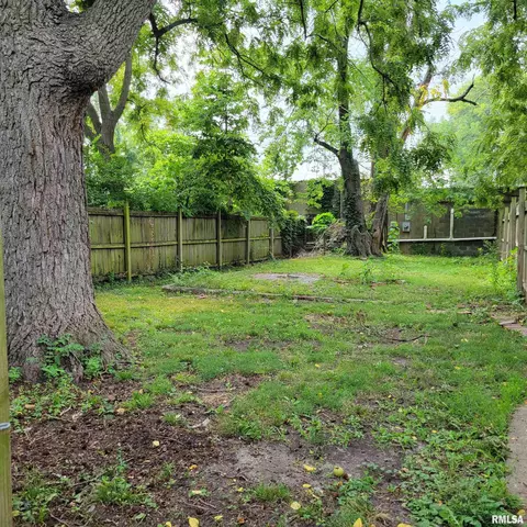 900 E Stanford Ave, Springfield, IL 62703 photo 19