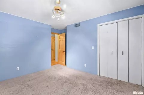 317 E Washington St, Riverton, IL 62561 photo 21