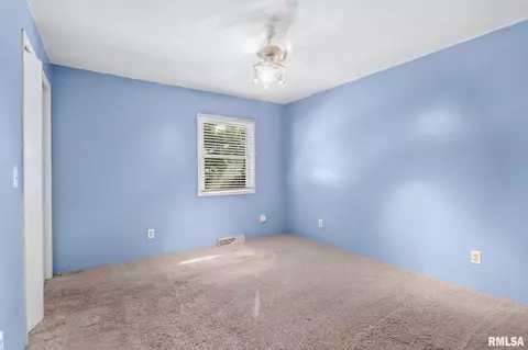 317 E Washington St, Riverton, IL 62561 photo 22