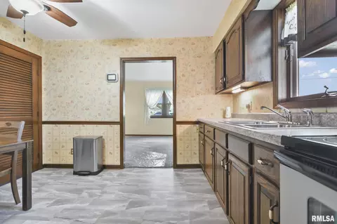 254 W Monroe St, Greenview, IL 62642 photo 8