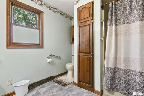 254 W Monroe St, Greenview, IL 62642 photo 17