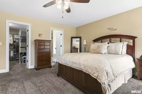 320 Hershiser Ln, Chatham, IL 62629 photo 19