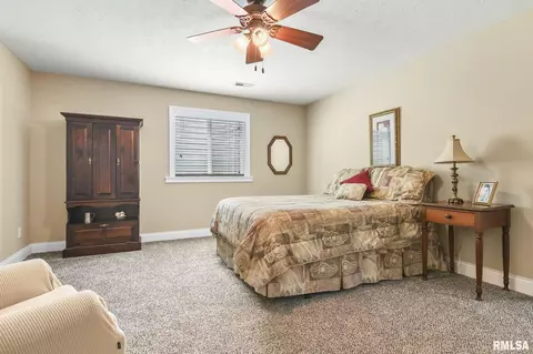 320 Hershiser Ln, Chatham, IL 62629 photo 31