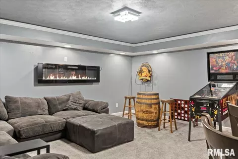 508 Glenn Dr, Chatham, IL 62629 photo 29