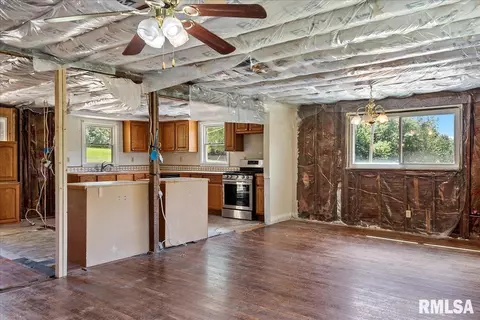 482 N John Wayne Rd, Dawson, IL 62520 photo 10