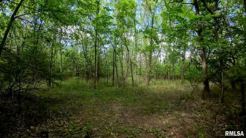 00 E County Road 1950 Rd, Havana, IL 62644