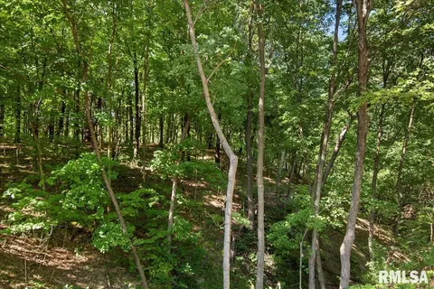 1615 Tozer Rd, Springfield, IL 62707 photo 92