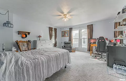 111 N Vine St, Mount Pulaski, IL 62548 photo 23