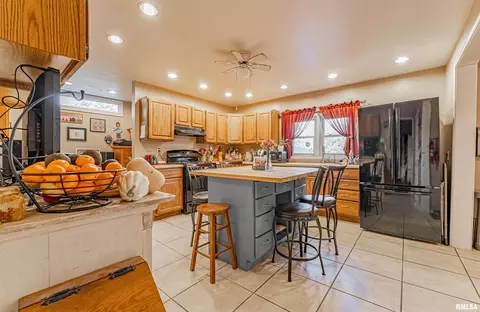 111 N Vine St, Mount Pulaski, IL 62548 photo 11