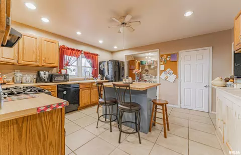 111 N Vine St, Mount Pulaski, IL 62548 photo 13