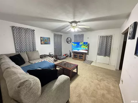 260 W Miller St, Hull, IL 62343 photo 2