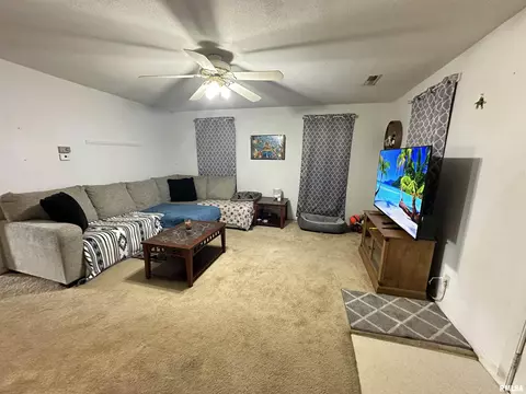 260 W Miller St, Hull, IL 62343 photo 3