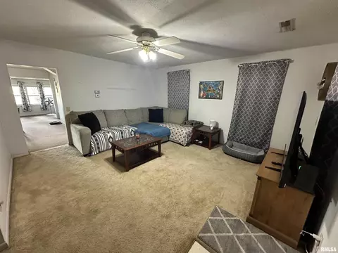 260 W Miller St, Hull, IL 62343 photo 4
