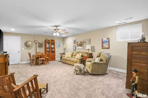 391 Abigail Dr, Springfield, IL 62711 photo 30