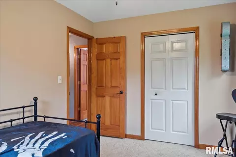 4432 Spaulding Orchard Rd, Springfield, IL 62711 photo 21