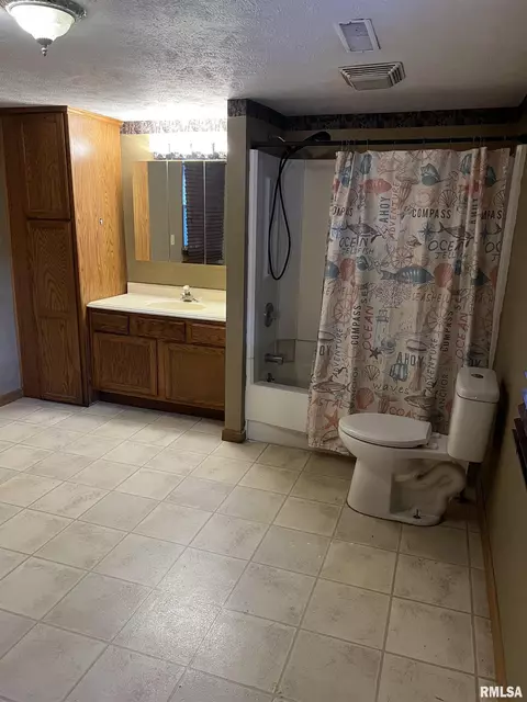 208 S John Wayne Rd, Dawson, IL 62520 photo 14