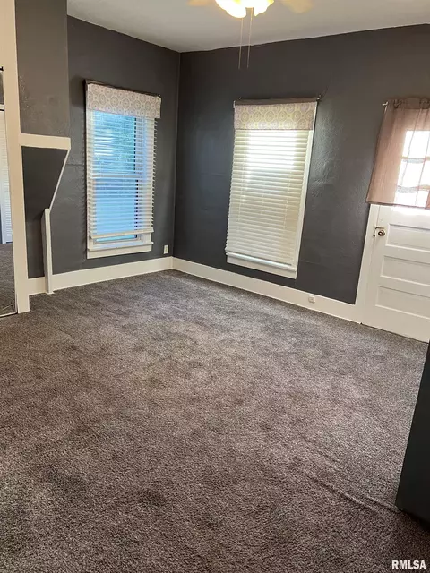 208 S John Wayne Rd, Dawson, IL 62520 photo 13