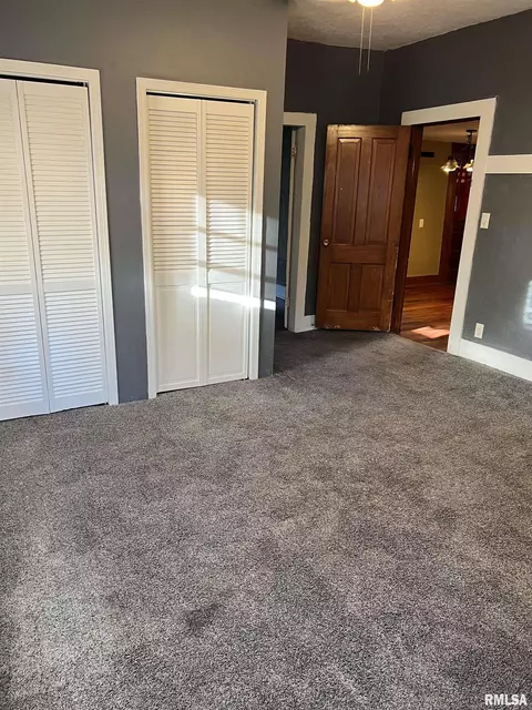 208 S John Wayne Rd, Dawson, IL 62520 photo 12