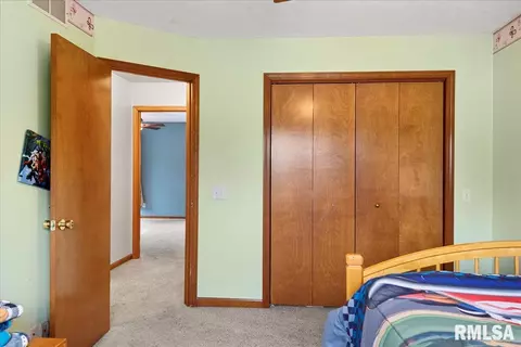 1711 Albany St, Springfield, IL 62702 photo 17