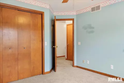 1711 Albany St, Springfield, IL 62702 photo 15