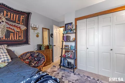 341 S Durkin Dr, Springfield, IL 62704 photo 22