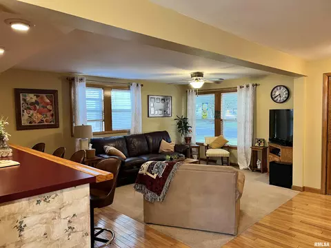 919 Johnson Ln, Springfield, IL 62702 photo 8