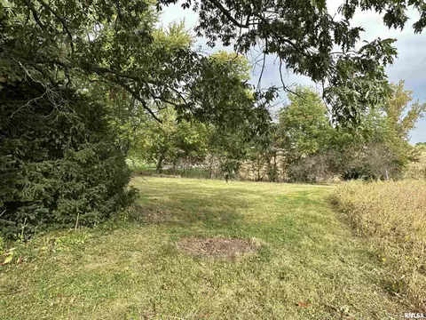 103 E Pearl St, Payson, IL 62360 photo 25