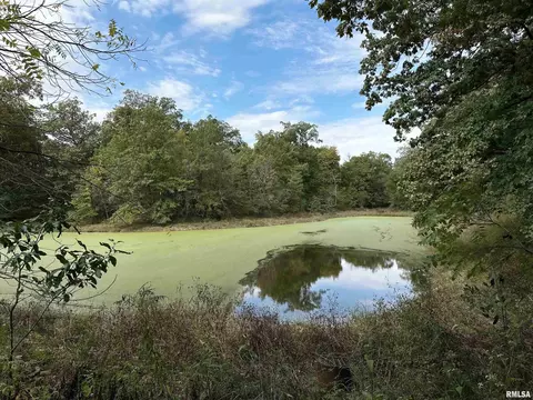 11611 N Friendship Rd, Martinsville, IL 62442