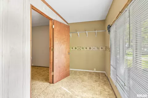 209 Fleck St, Dawson, IL 62520 photo 20