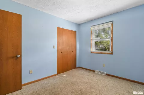 209 Fleck St, Dawson, IL 62520 photo 27
