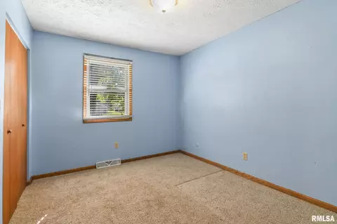 209 Fleck St, Dawson, IL 62520 photo 25