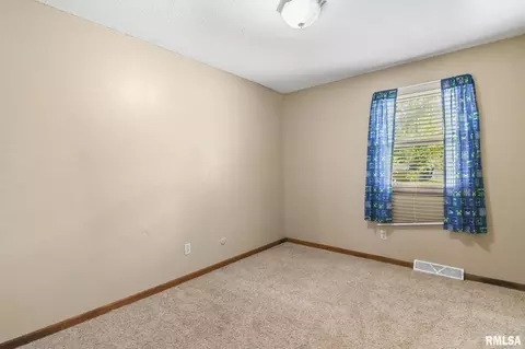 209 Fleck St, Dawson, IL 62520 photo 30