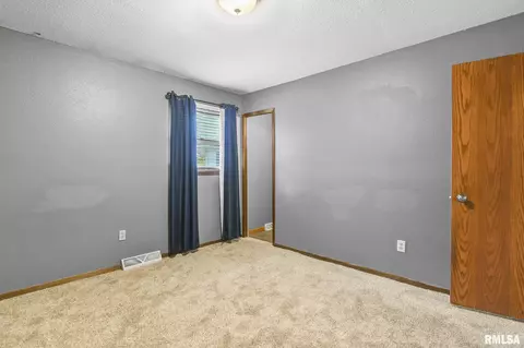 209 Fleck St, Dawson, IL 62520 photo 21