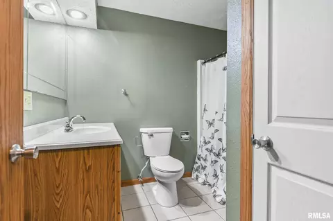 209 Fleck St, Dawson, IL 62520 photo 29
