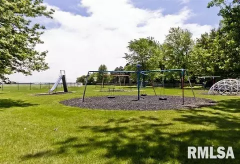 209 Fleck St, Dawson, IL 62520 photo 43