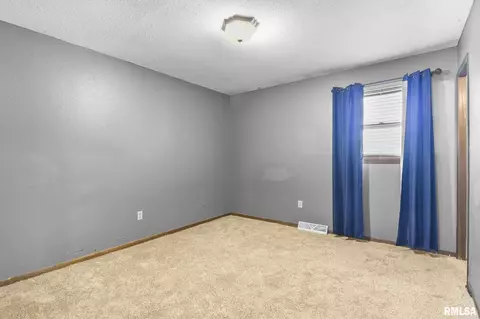 209 Fleck St, Dawson, IL 62520 photo 23