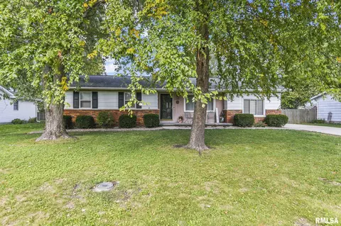 209 Fleck St, Dawson, IL 62520 photo 2