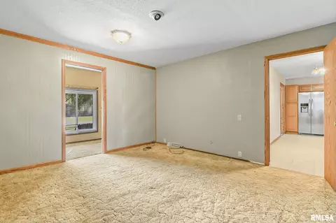 209 Fleck St, Dawson, IL 62520 photo 6