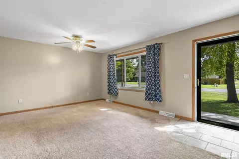 209 Fleck St, Dawson, IL 62520 photo 9