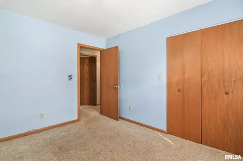 209 Fleck St, Dawson, IL 62520 photo 28