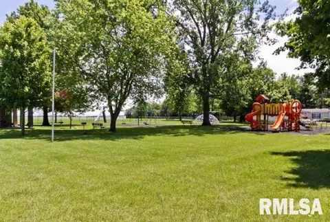 209 Fleck St, Dawson, IL 62520 photo 44