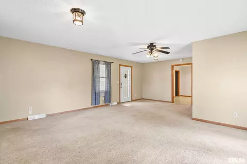 209 Fleck St, Dawson, IL 62520 photo 11