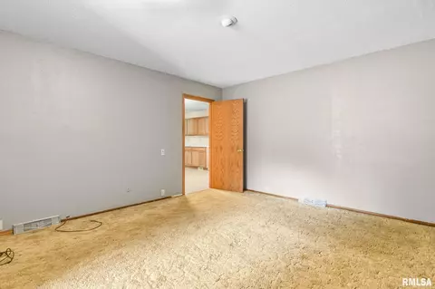 209 Fleck St, Dawson, IL 62520 photo 33