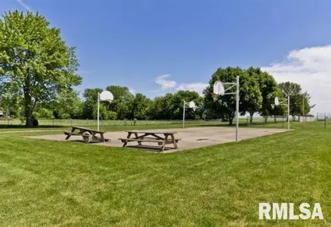 209 Fleck St, Dawson, IL 62520 photo 42