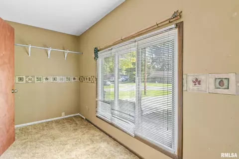 209 Fleck St, Dawson, IL 62520 photo 19