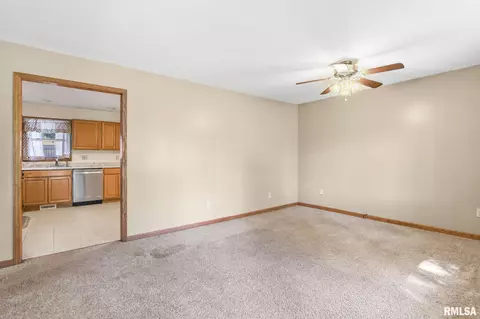 209 Fleck St, Dawson, IL 62520 photo 7